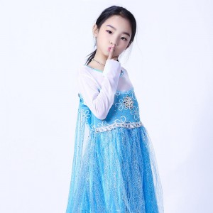 Elsa Queen Dress Girls Long Sleeve Mesh Cloak Detachable Elsa Princess Dress