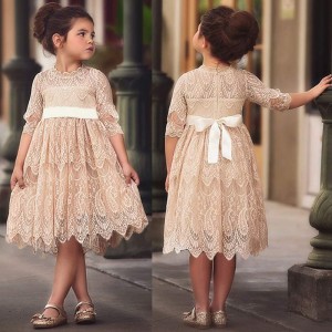 Girls Lace Embroidery Dress Kids A Line Princess Tutu Tulle Bridesmaid Wedding Pageant Flower Girls Dresses