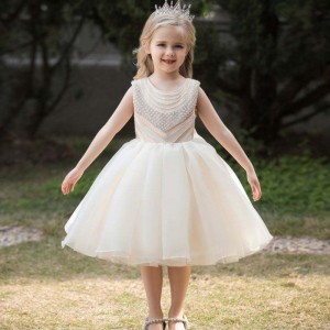 BAIGE New Models Girls Party Dresses Chiffon Princess Flower Summer Baby Boutique L5300