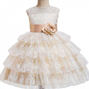 Baige Summer fashion Lace Tulled Lovely Beading Big Bow Birthday Party Fancy Ball Gowns Flower Girl Dresses