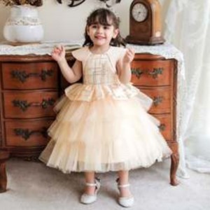 Baige Wholesale Princess Sequin Dress Girls' Birthday Party Unique Costume Fancy Baby Dresses