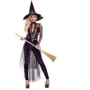 MIDNIGHT VIOLET WITCH COSTUME